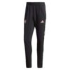 PANTALONES DE ENTRENAMIENTO PREMIER LEAGUE - Imagen 6