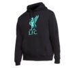 CHAQUETAS DE PASEO PREMIER LEAGUE