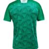 CAMISETA CHAPECOENSE LOCAL 2020-2021 - Imagen 2