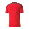 CAMISETA LOCAL SUIZA 2021 - Imagen 2
