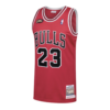CHICAGO BULLS FINAL JORDAN