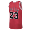 CHICAGO BULLS FINAL JORDAN - Imagen 2