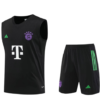 KIT ENTRENAMIENTO BAYERN MUNICH 2023-2024