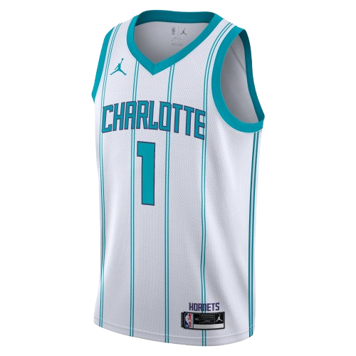 CHARLOTTE HORNETS